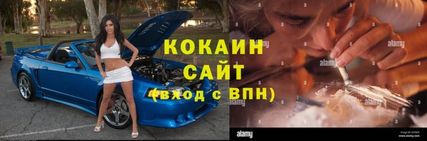 шишки Горно-Алтайск