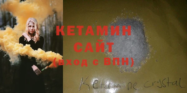 шишки Горно-Алтайск