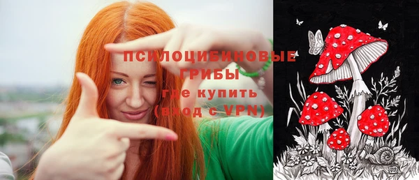 гашик Горнозаводск