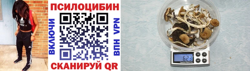 Псилоцибиновые грибы Psilocybe Волгодонск